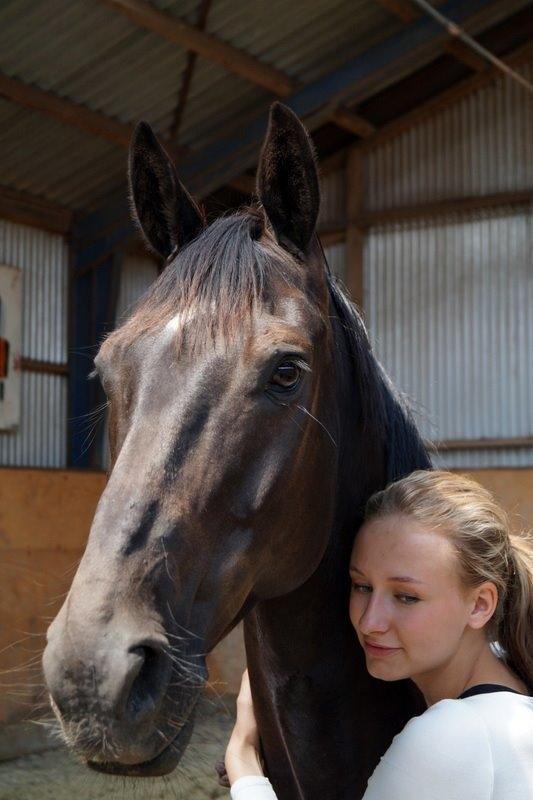 Dansk Varmblod Tekno - Min elskede lille prut <3 billede 3