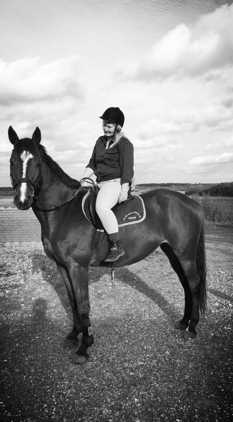 Dansk Varmblod Lillelunds Cheval (Heidi) - Lillelunds Cheval(ski) billede 7