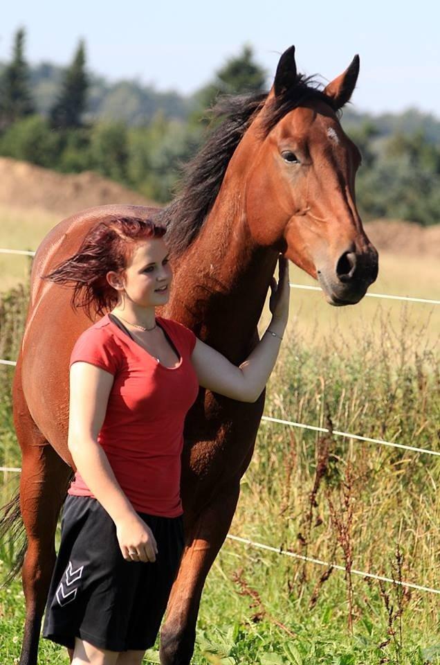 Quarter Spirit Of Jewel billede 7