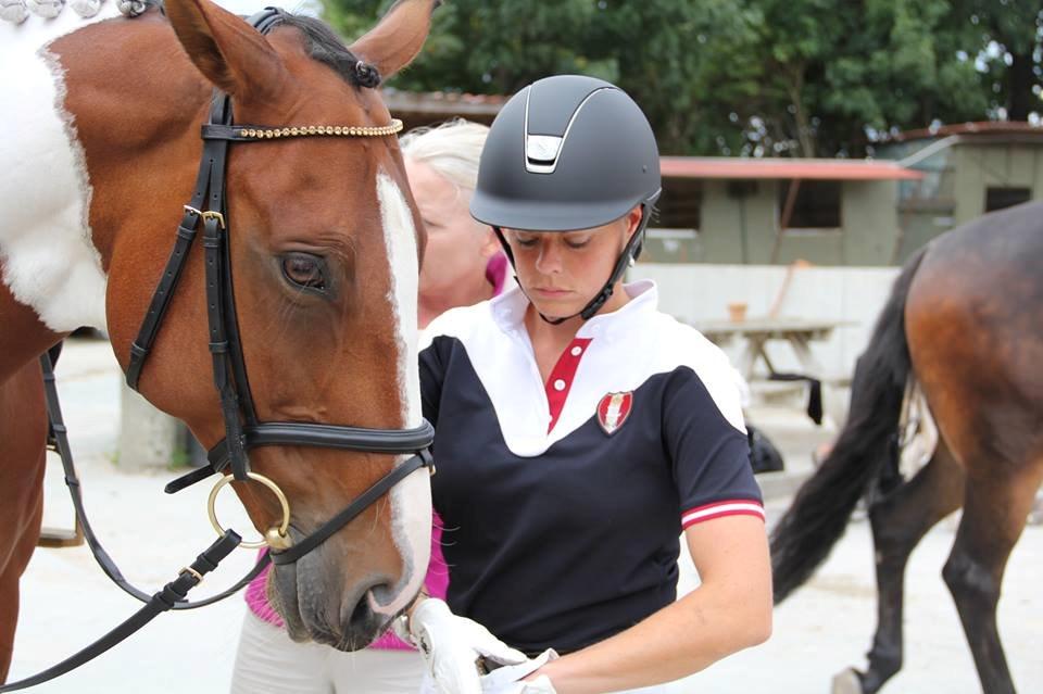 Polsk Varmblod Pensylwanczyk billede 21