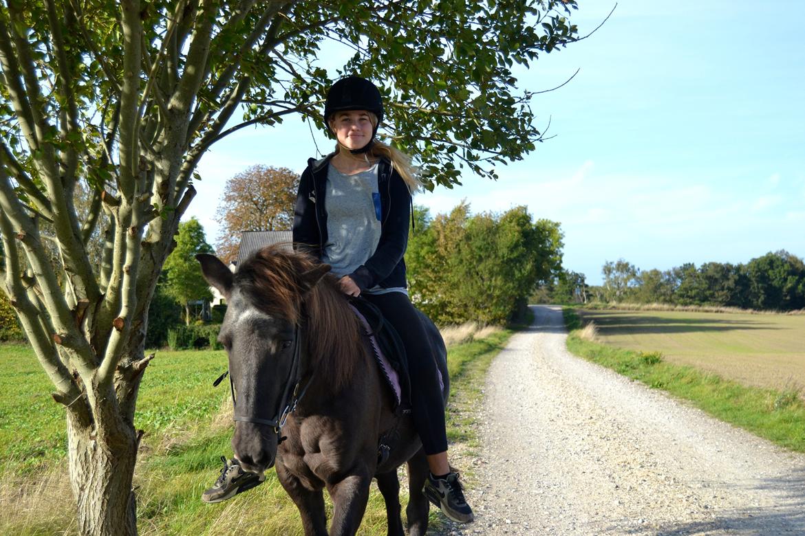 Islænder Röskva [Tidl. part] - September 2014  billede 7