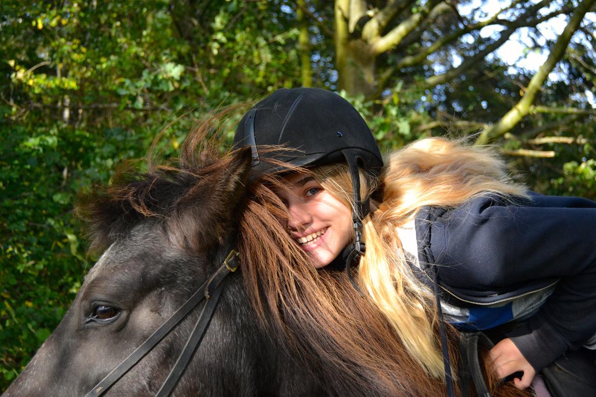 Islænder Röskva [Tidl. part] - September 2014 billede 2