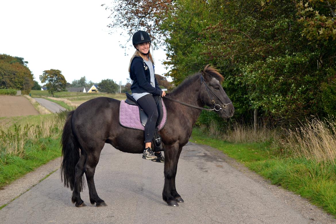 Islænder Röskva [Tidl. part] - September 2014 billede 3