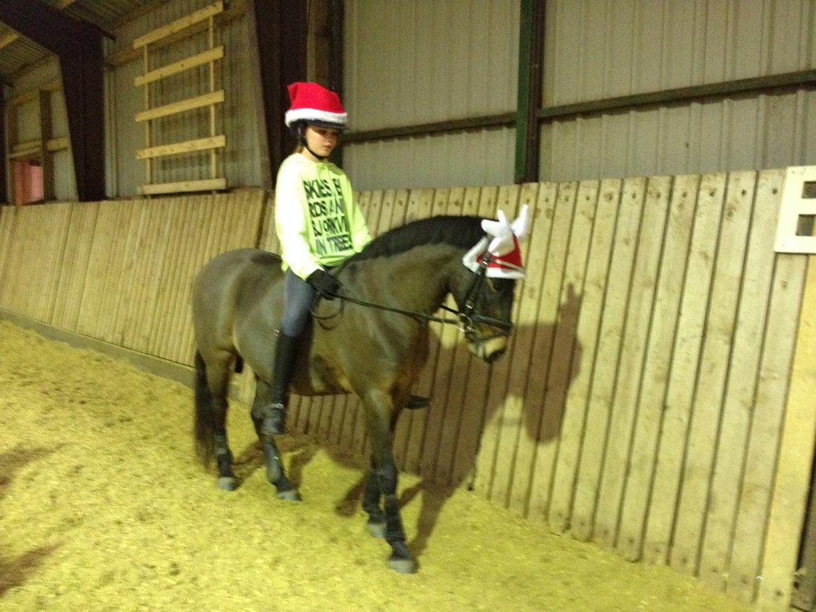 New Forest Milton billede 16