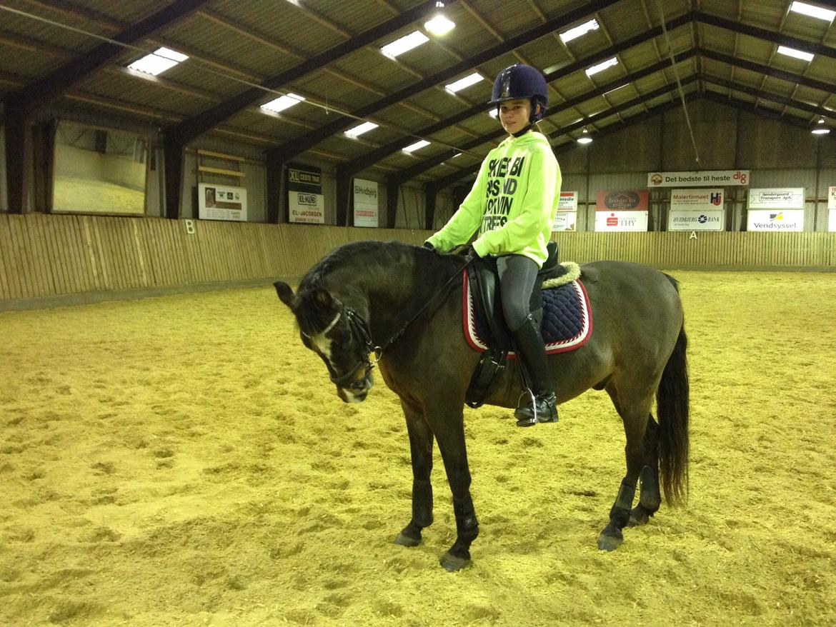 New Forest Milton billede 17