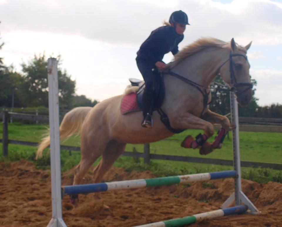 Palomino Frønsen - min dejlige lille spring pige <3 hun kan jo gost hvis hun vil :D<3 billede 20