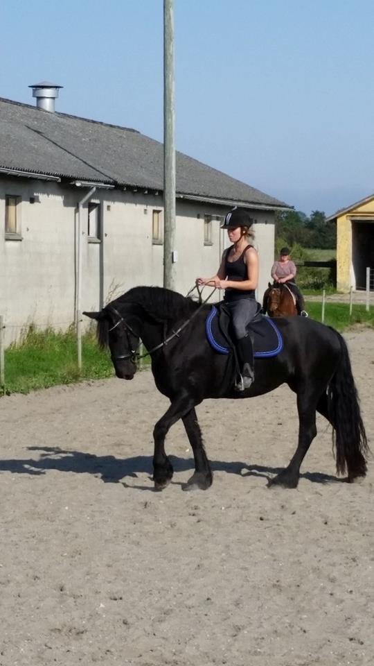 Frieser Gaia <3 billede 2