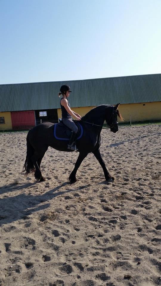 Frieser Gaia <3 billede 8