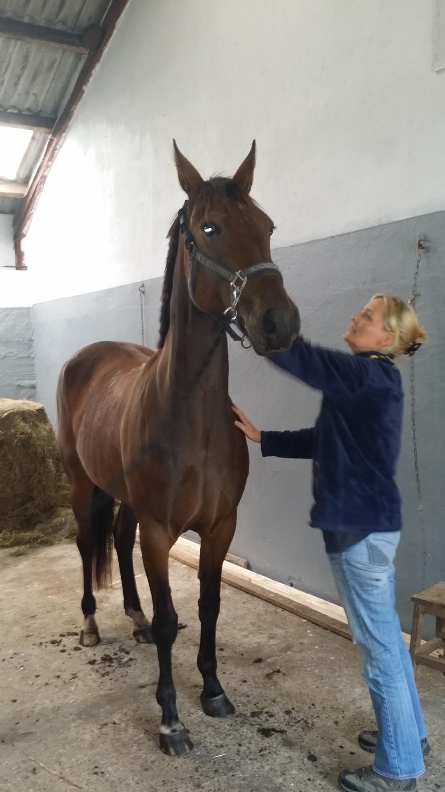 Traver Ofelia tandal billede 6