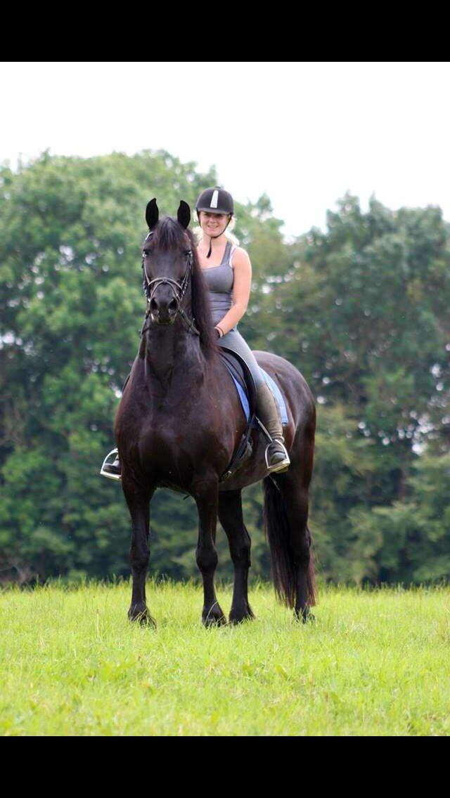 Frieser Hylkje Hoffe billede 9