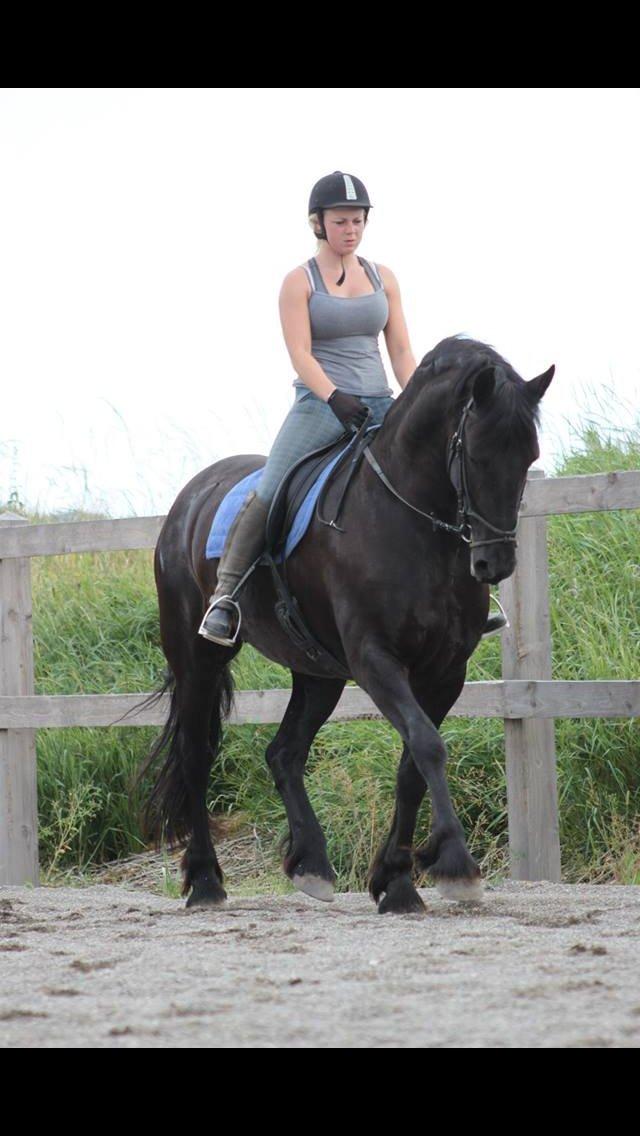 Frieser Hylkje Hoffe billede 11