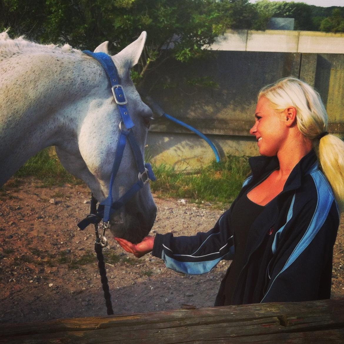 Sportsaraber (A) Gøben billede 11