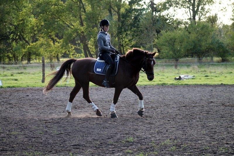 Connemara Quiva <3 - Træning d. 26/9-14 billede 23