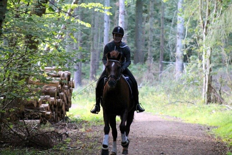 Connemara Quiva <3 - Galop i skoven. Q elsker det <3 - September 2014 billede 33