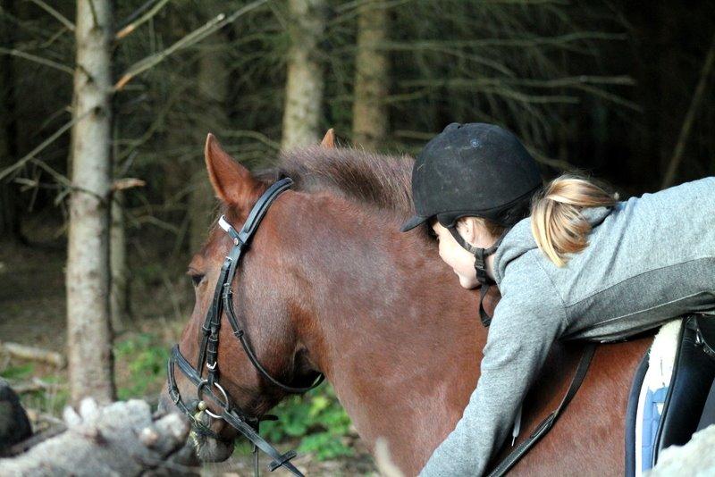 Connemara Quiva <3 - Forevigt <3 billede 25