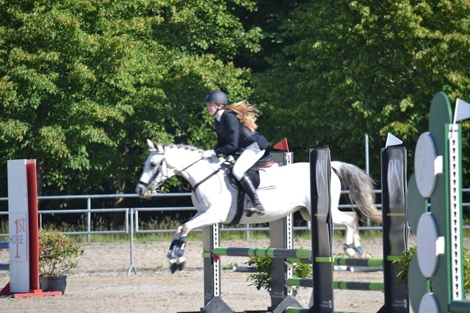Sportsaraber (A) Miss Light billede 9