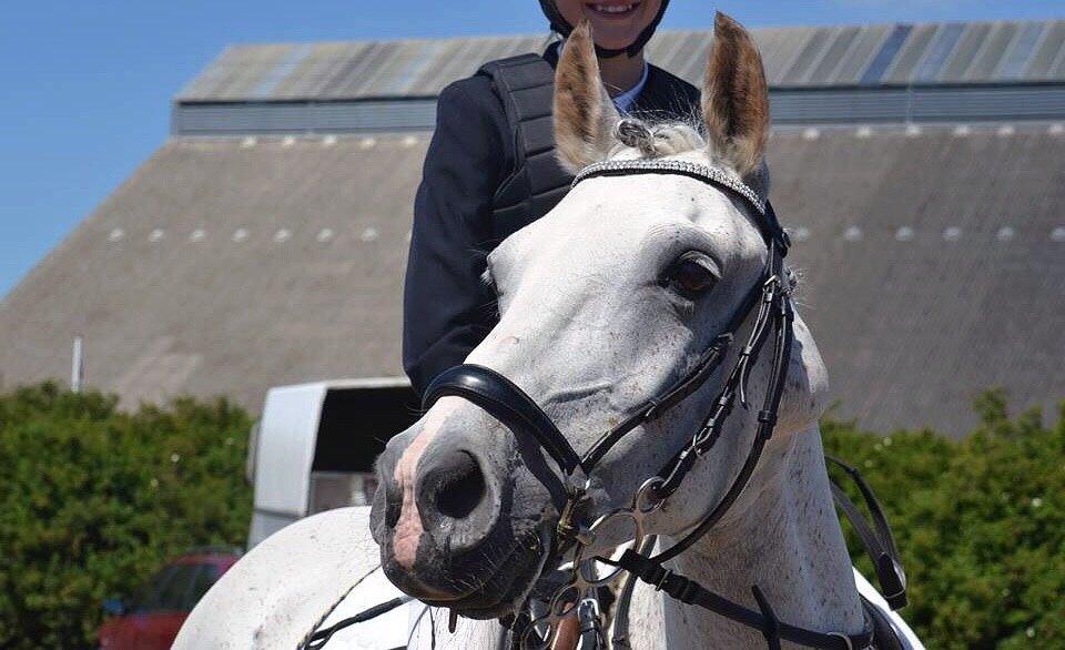 Sportsaraber (A) Miss Light billede 7