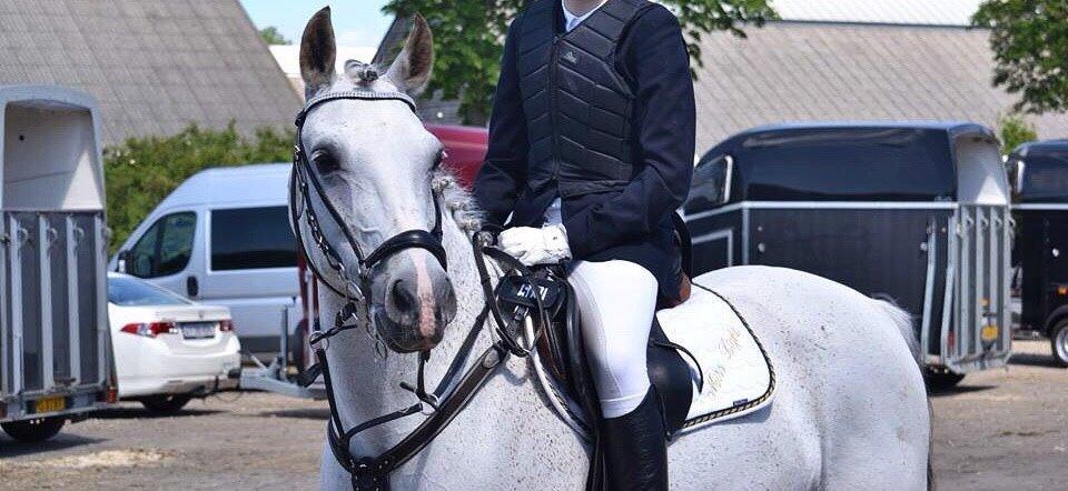 Sportsaraber (A) Miss Light billede 8