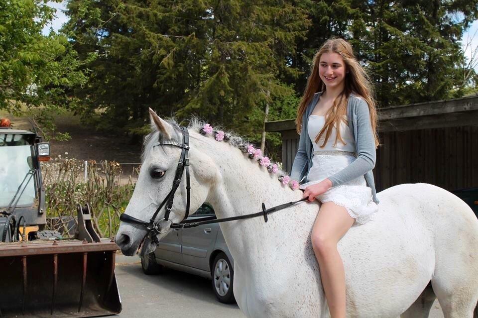 Sportsaraber (A) Miss Light billede 5