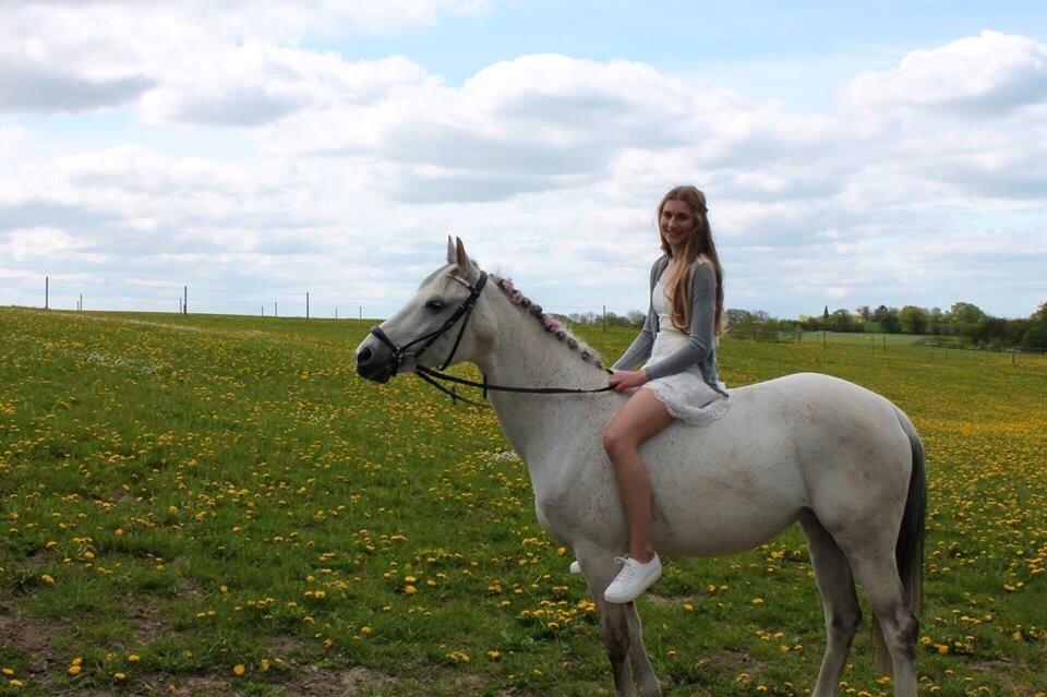 Sportsaraber (A) Miss Light billede 11