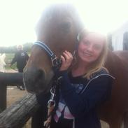 Anden særlig race Cali