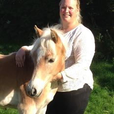 Tyroler Haflinger Belina