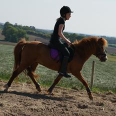 Anden særlig race Bounty