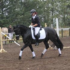 New Forest Holmens Juulius