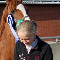 DSP Møgelvangs Ja'dore