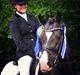 Welsh Cob (sec D) Valhallas Zorro