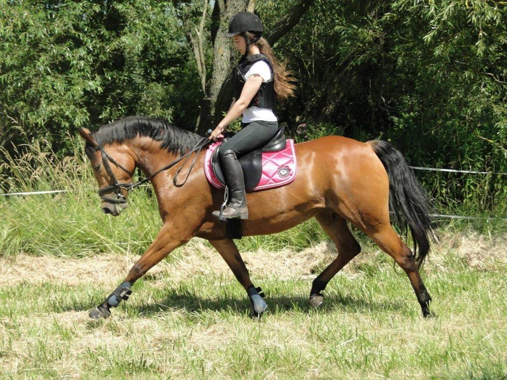 Anden særlig race helleruphus Celeste //MY SOULMATE!<3// - sommeren 2014 billede 9