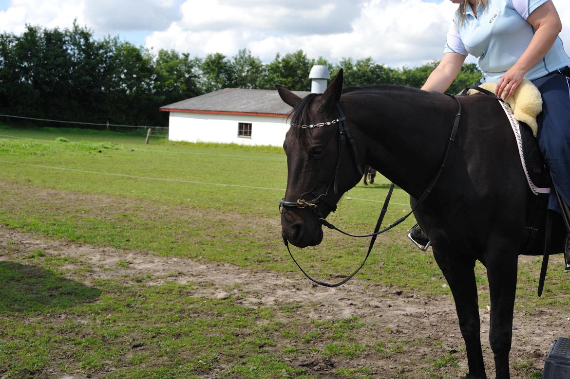 Anden særlig race Athena RIP <3 elsket og savnet billede 15