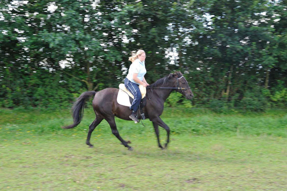 Anden særlig race Athena RIP <3 elsket og savnet billede 19