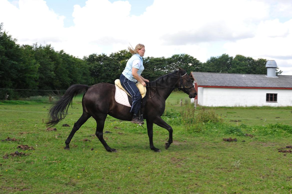 Anden særlig race Athena RIP <3 elsket og savnet billede 20