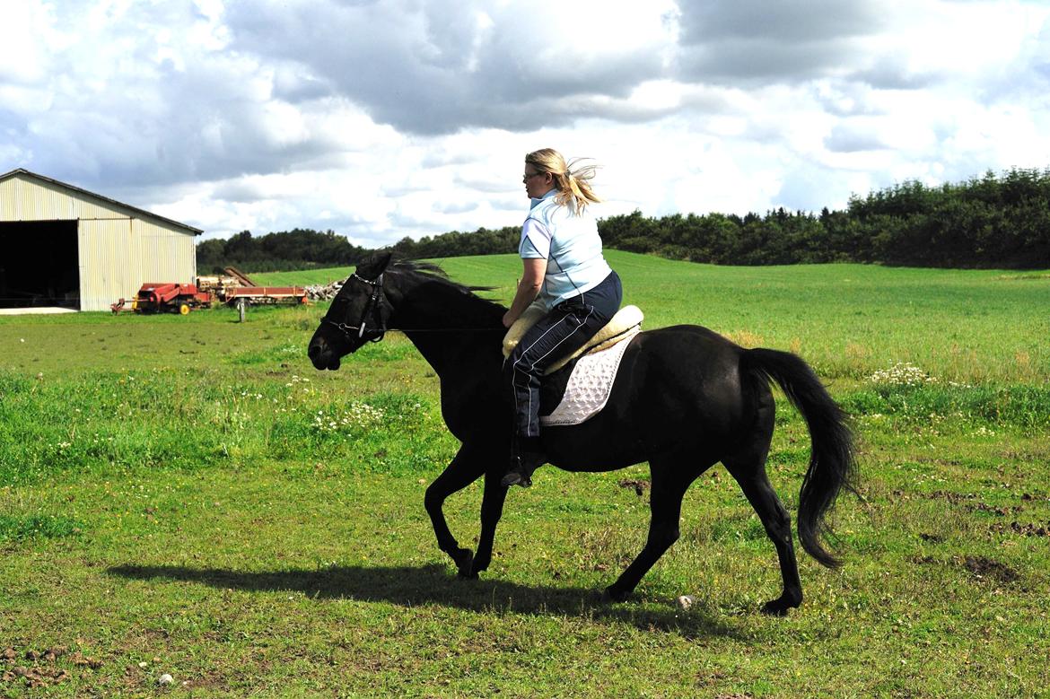 Anden særlig race Athena RIP <3 elsket og savnet billede 21