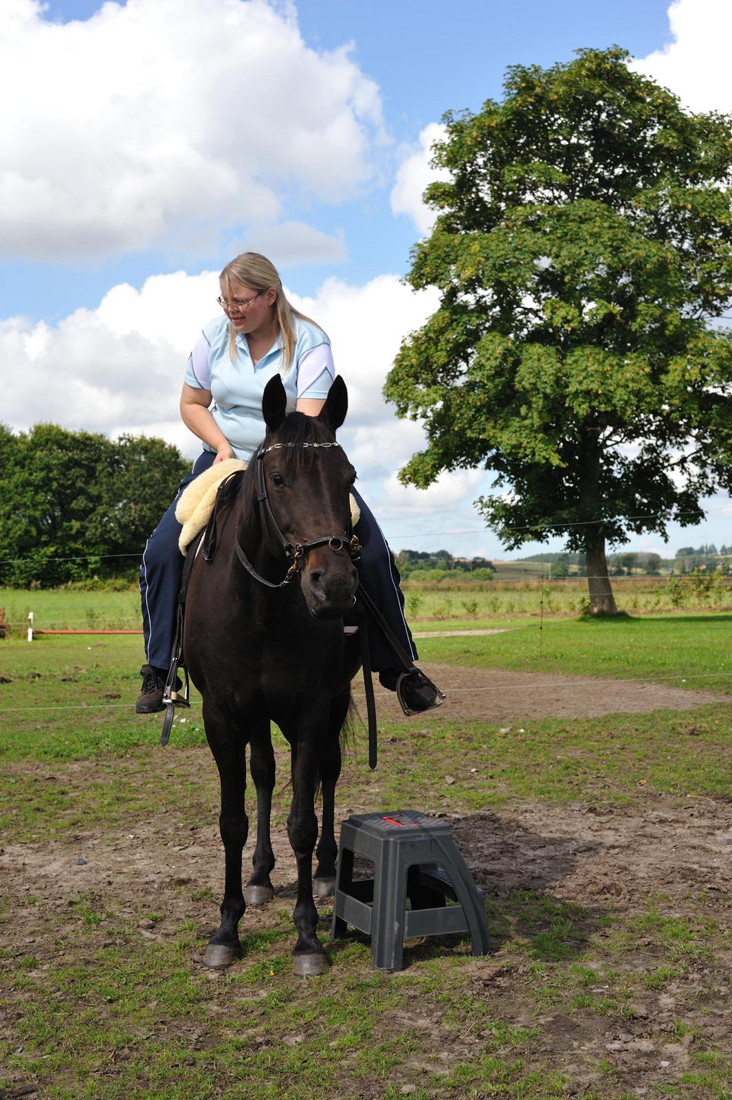 Anden særlig race Athena RIP <3 elsket og savnet billede 26