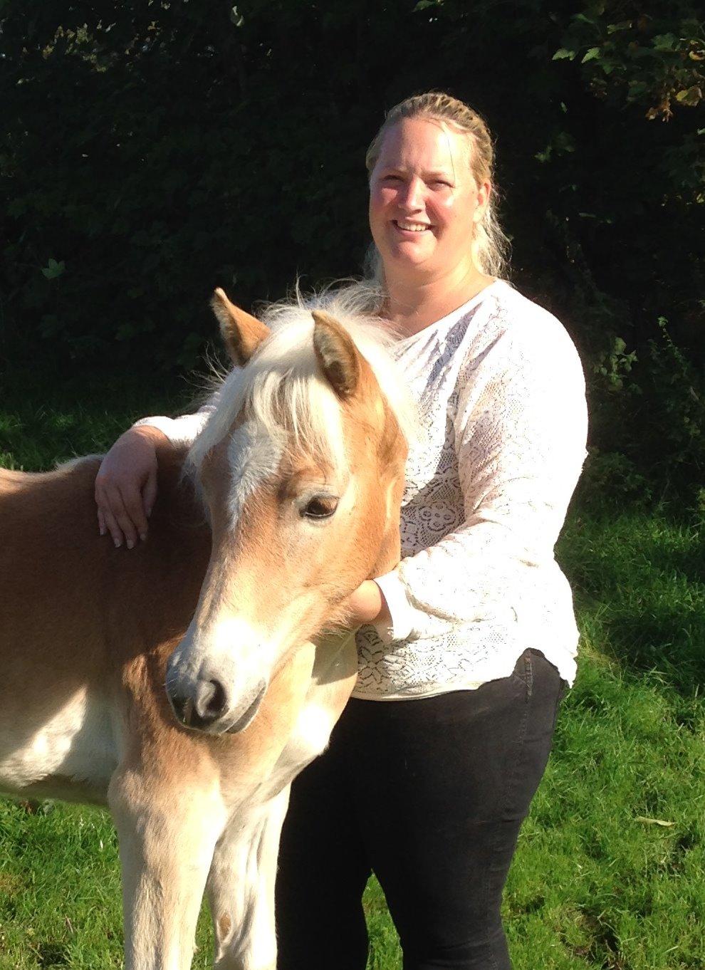 Tyroler Haflinger Belina billede 2