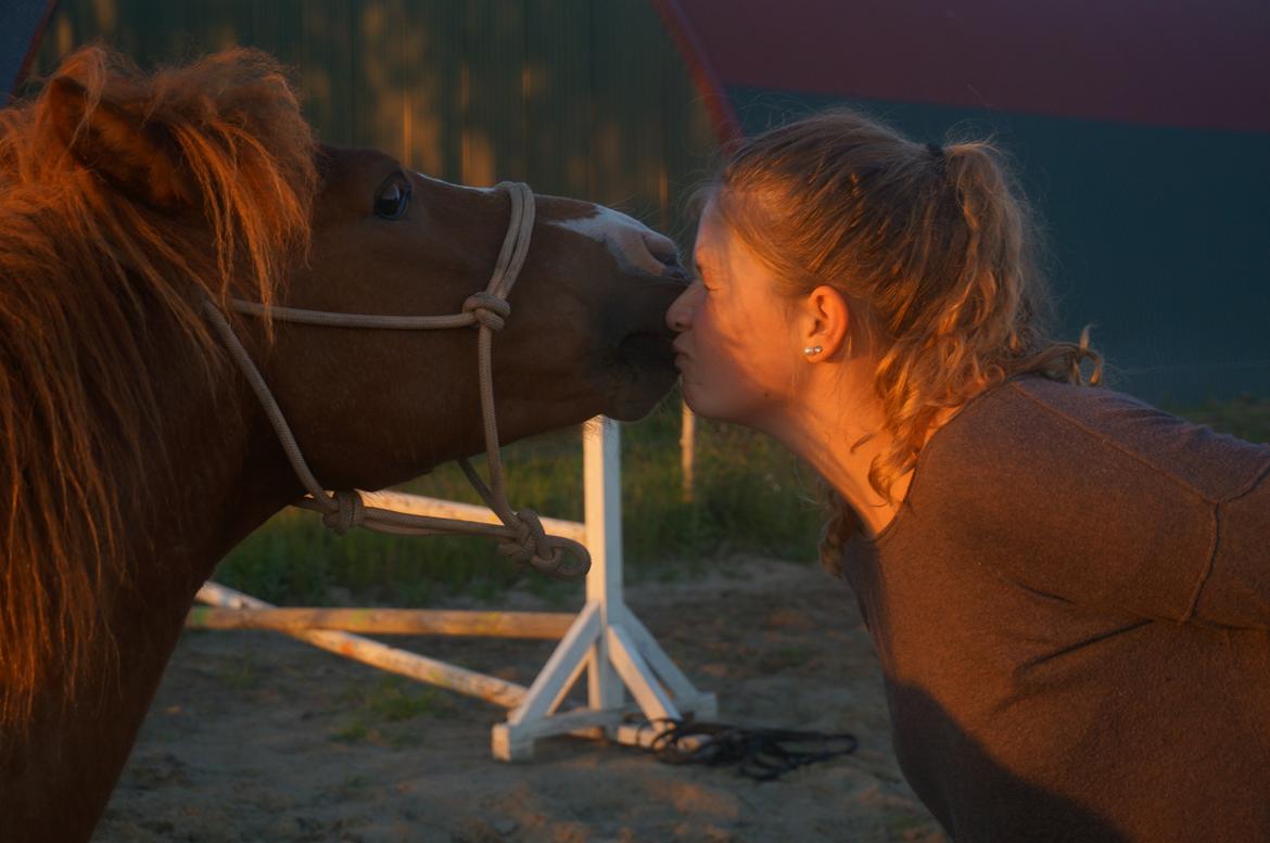 Anden særlig race Bounty billede 1