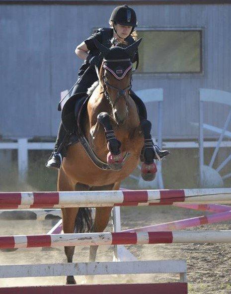 Anden særlig race Roosgårdens Carrera billede 3