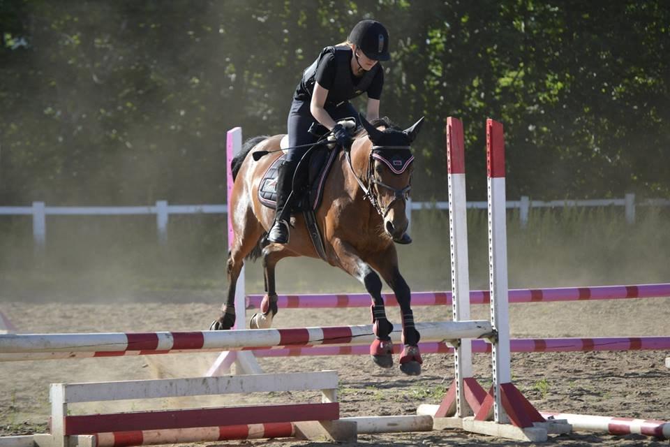 Anden særlig race Roosgårdens Carrera billede 5