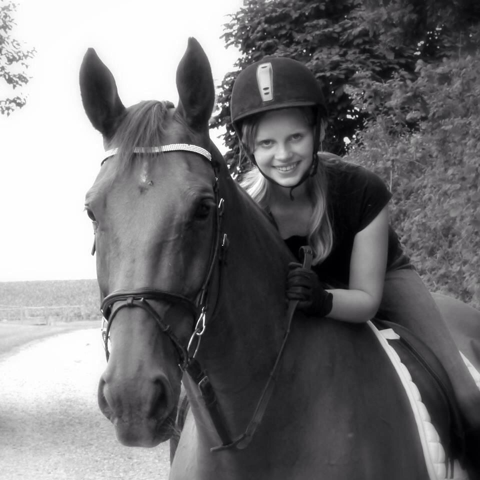 Dansk Varmblod Capella S billede 4