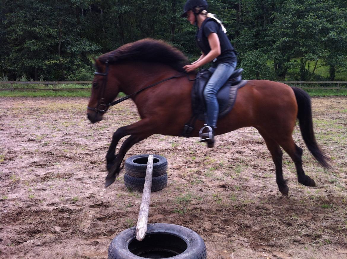 Islænder Freyja - Et af de første spring vi springer billede 2