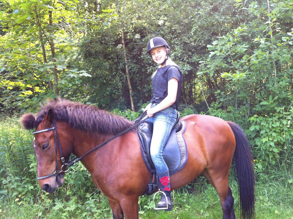 Islænder Freyja - <3 billede 1