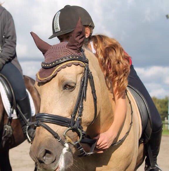 New Forest Balasjow billede 12