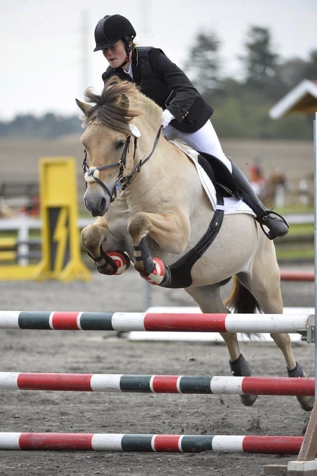 Fjordhest Tango!&lt;3 - Vores anden LB* sammen&lt;3 billede 19