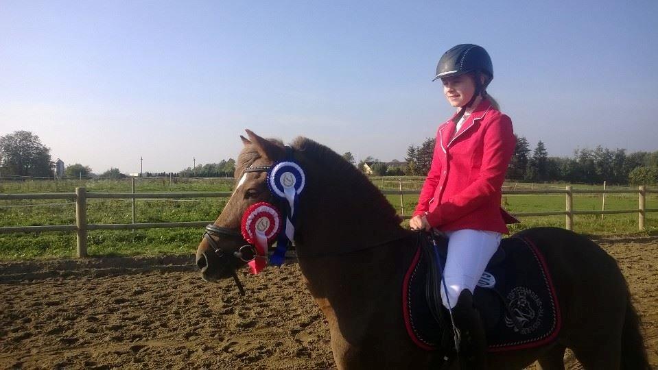 Welsh Partbred (Sec F) Frk. Flippa <3 B-PONY - Sejr i MB* og 2. plads i MB** :) billede 4