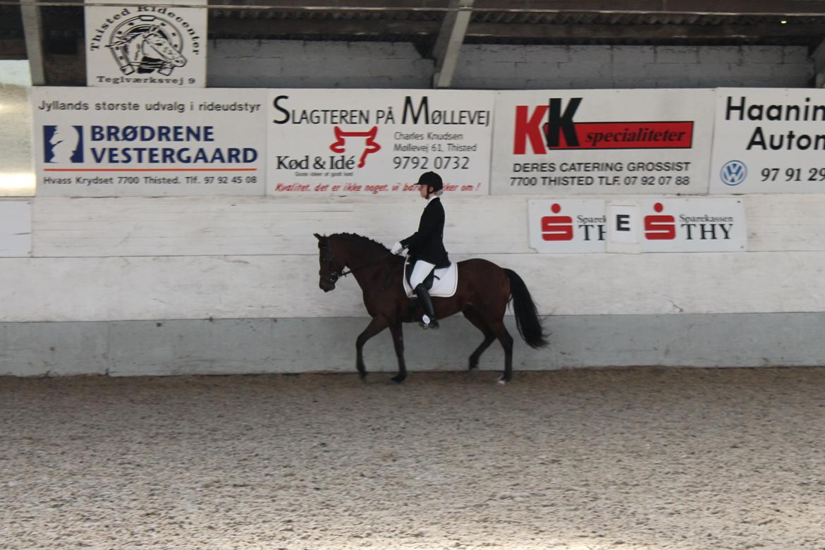 DSP Bæklunds Camikka billede 6