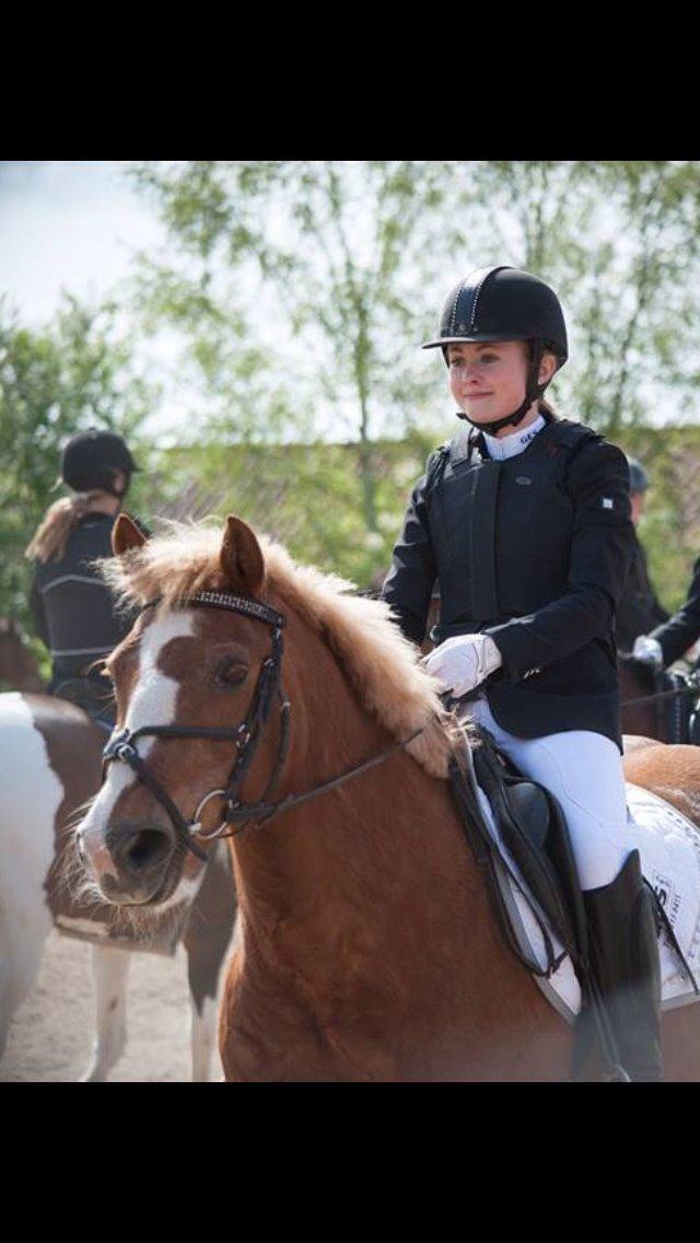 Anden særlig race Herkules  billede 10