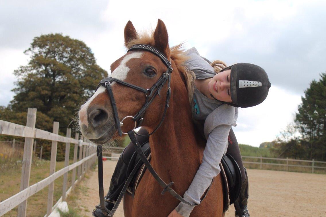 Anden særlig race Herkules  billede 14