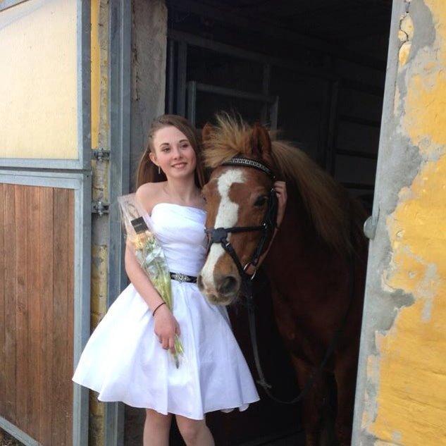 Anden særlig race Herkules  billede 18